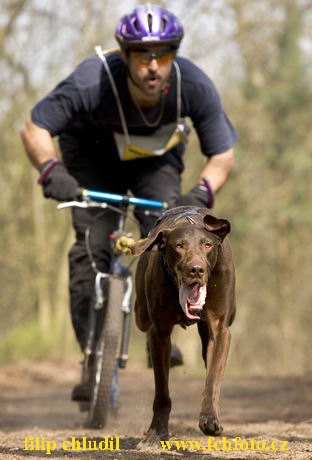 Polsko 2005 - 541.jpg